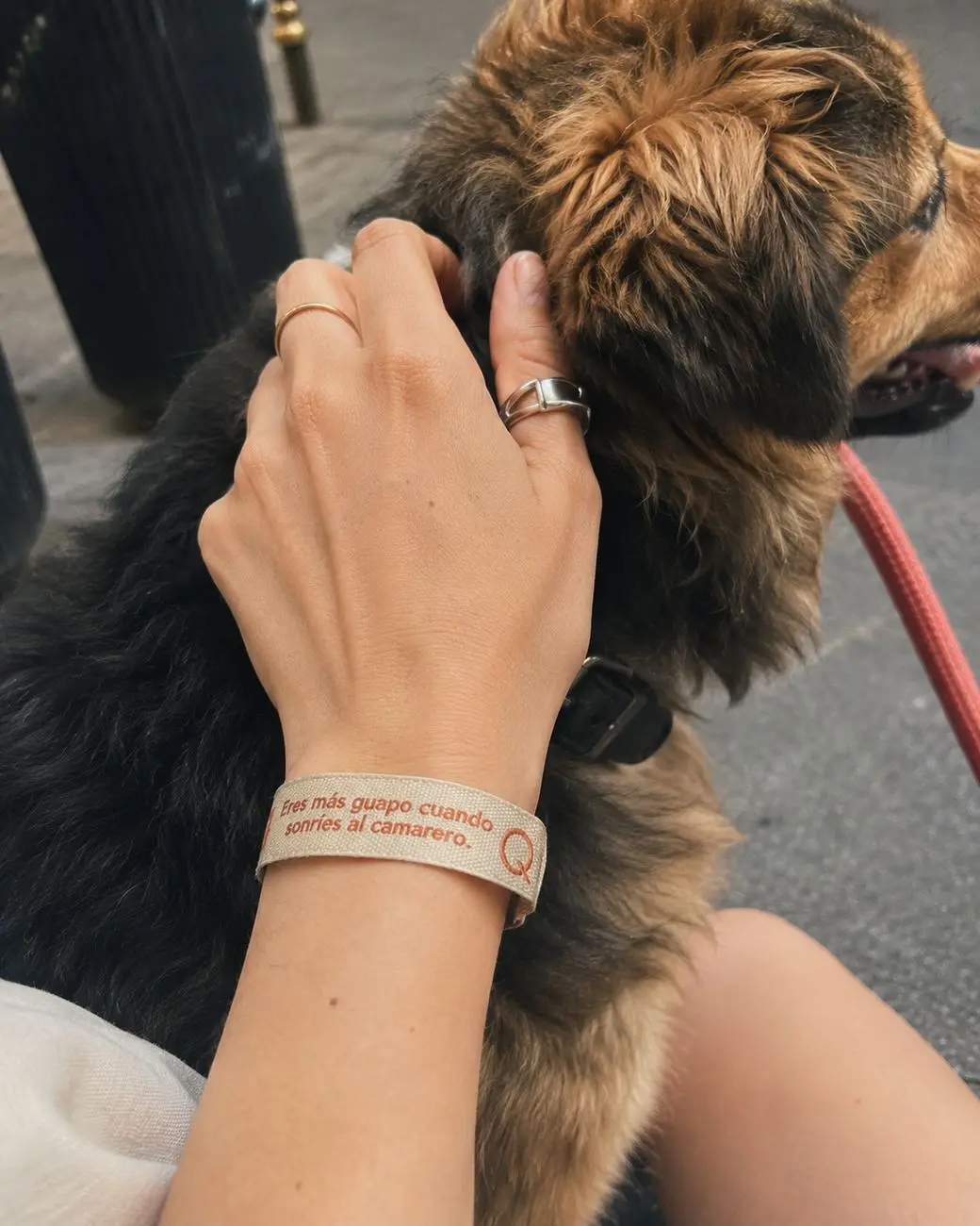 Pulsera de tela de La Quedada acariciando a un perro